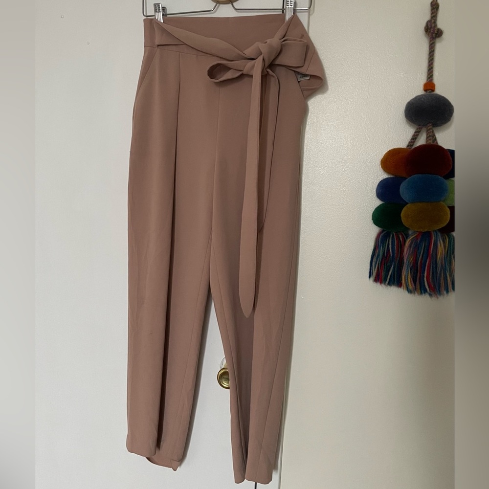 Aritzia Wilfred Pants in Light Pink
